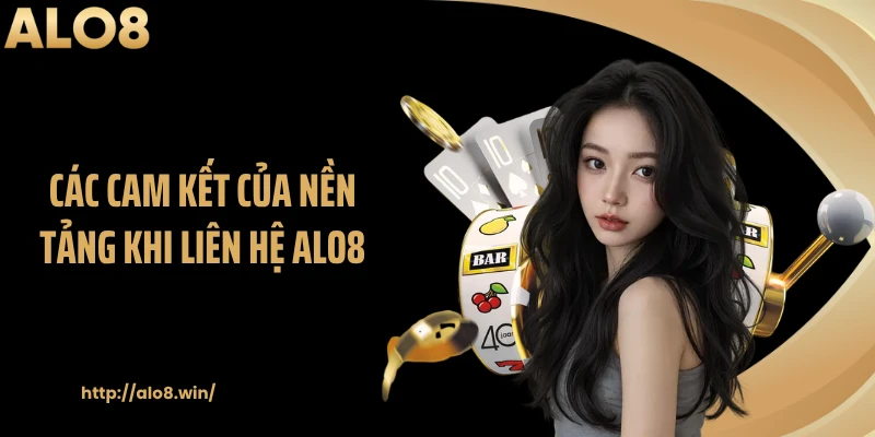 Các cam kết của nền tảng khi liên hệ ALO8