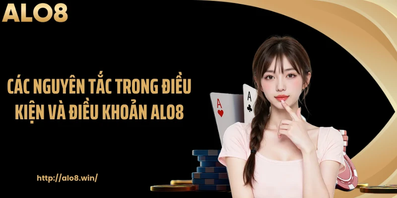 Các nguyên tắc trong điều kiện và điều khoản ALO8