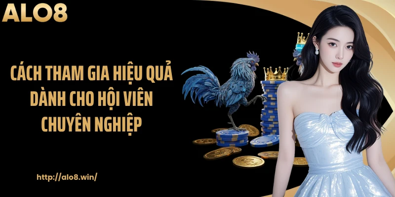 Cách tham gia hiệu quả dành cho hội viên chuyên nghiệp