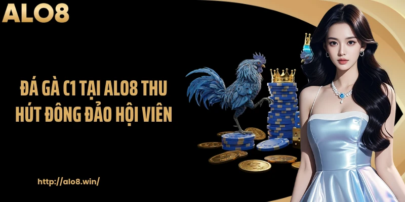Đá gà C1 tại ALO8 thu hút đông đảo hội viên