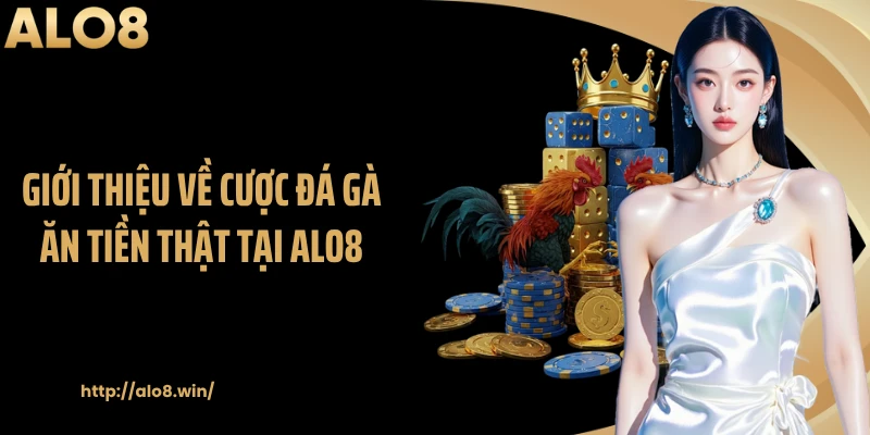 Giới thiệu về cược đá gà ăn tiền thật tại ALO8