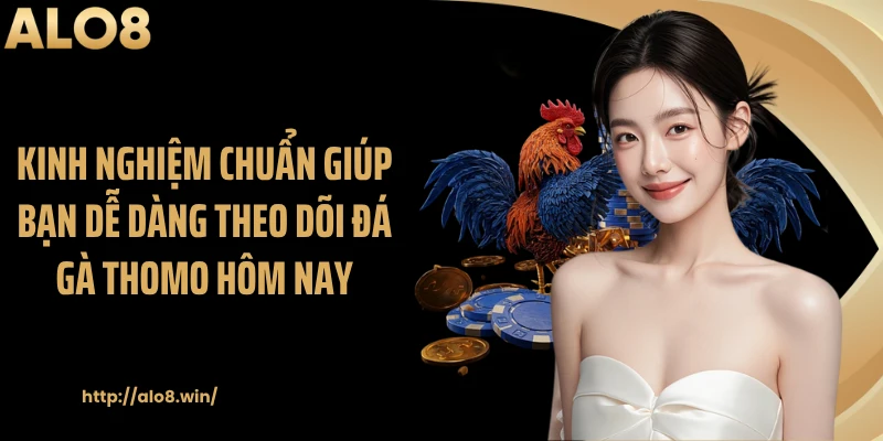 Kinh nghiệm chuẩn giúp bạn dễ dàng theo dõi đá gà thomo hôm nay