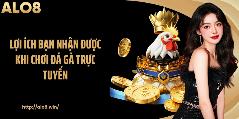 Lợi ích bạn nhận được khi chơi đá gà trực tuyến