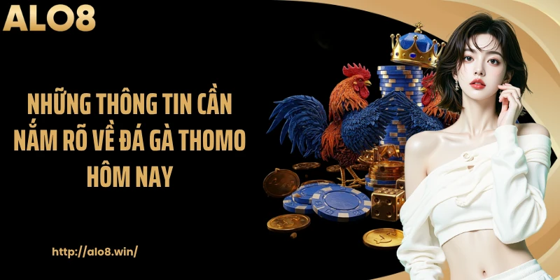 Những thông tin cần nắm rõ về đá gà thomo hôm nay