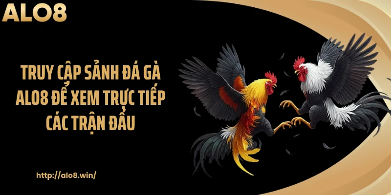 Truy cập sảnh đá gà ALO8 để xem trực tiếp các trận đấu
